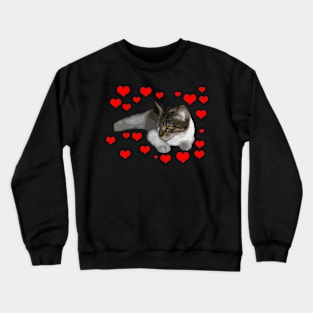 i love my cat Crewneck Sweatshirt